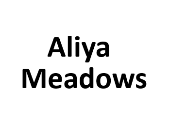 Aliya Meadows